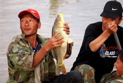 The Yellow River and the Talking Carp: A Dive into Ancient Anatolian Storytelling!